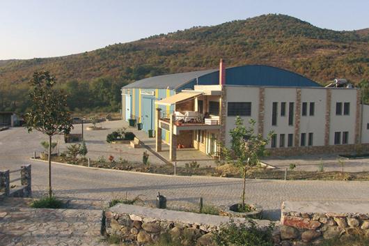 Picture of sector Olive Mill