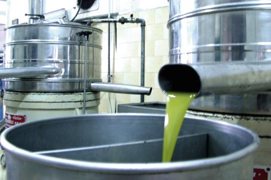 Picture of sector Olive Mill